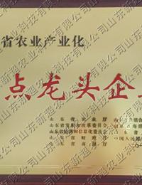 重點(diǎn)龍頭企業(yè)